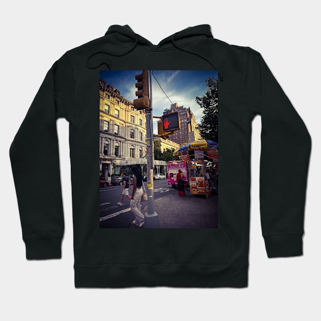 Fifth Avenue Central Park Manhattan NYC Hoodie by eleonoraingrid